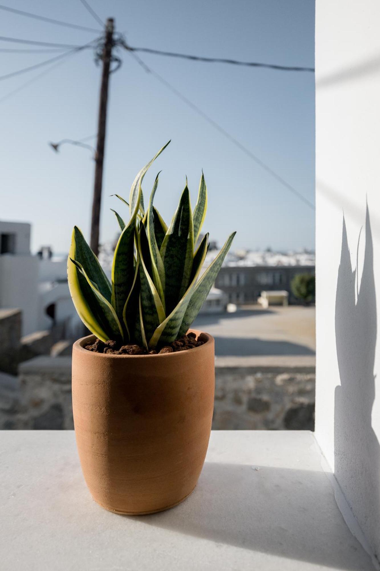 Appartamento 37 2 Heaven Naxos City Esterno foto